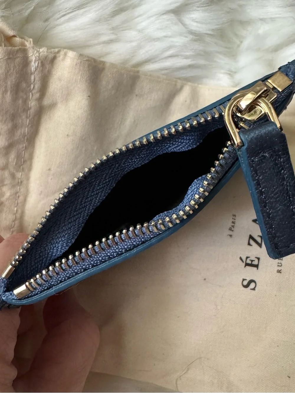 Sezane Alfredo Coin Case in Metallic Blue